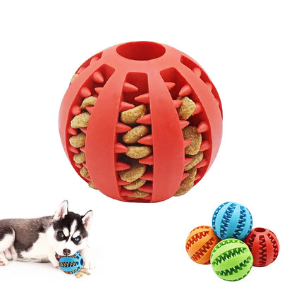 Pet Toys for Small Dogs - Interactive Elasticity Puppy Chew Toy Tooth Cleaning Rubber - Food Ball Toy