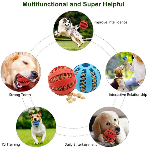 Pet Toys for Small Dogs - Interactive Elasticity Puppy Chew Toy Tooth Cleaning Rubber - Food Ball Toy